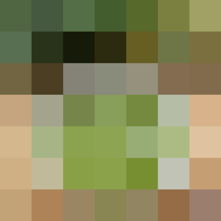 (placeholder)