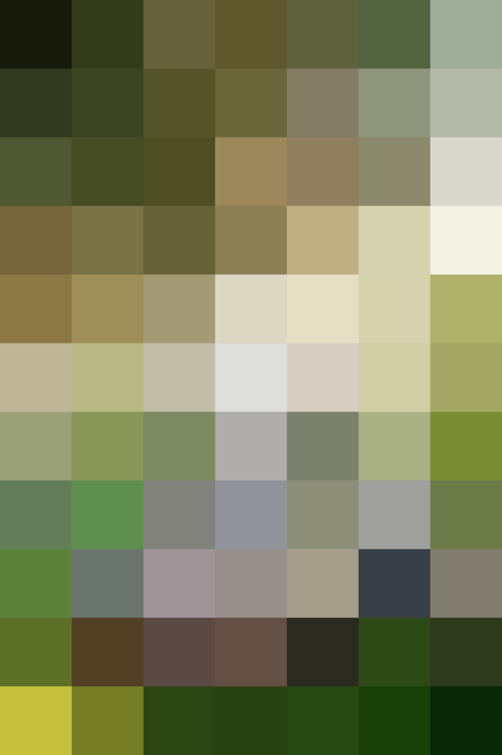 (placeholder)