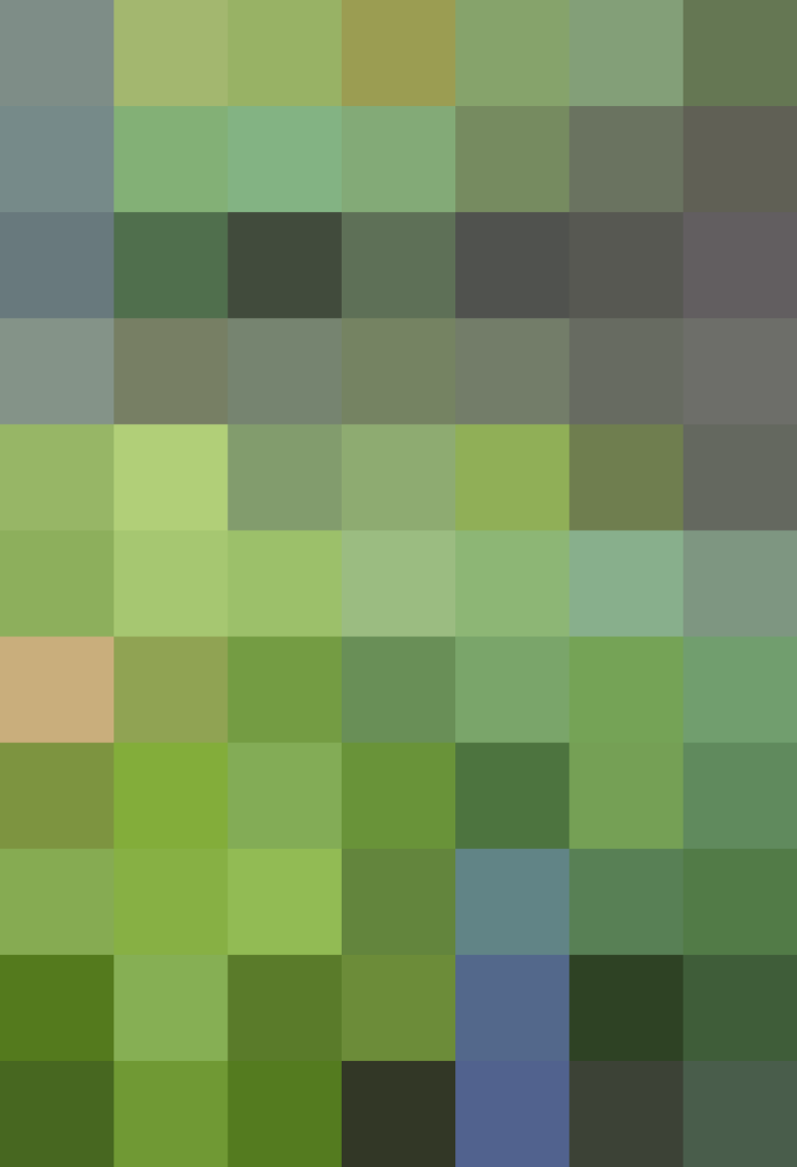 (placeholder)