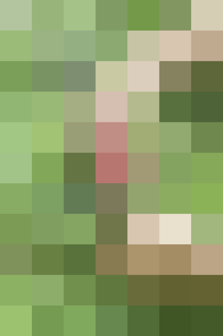 (placeholder)