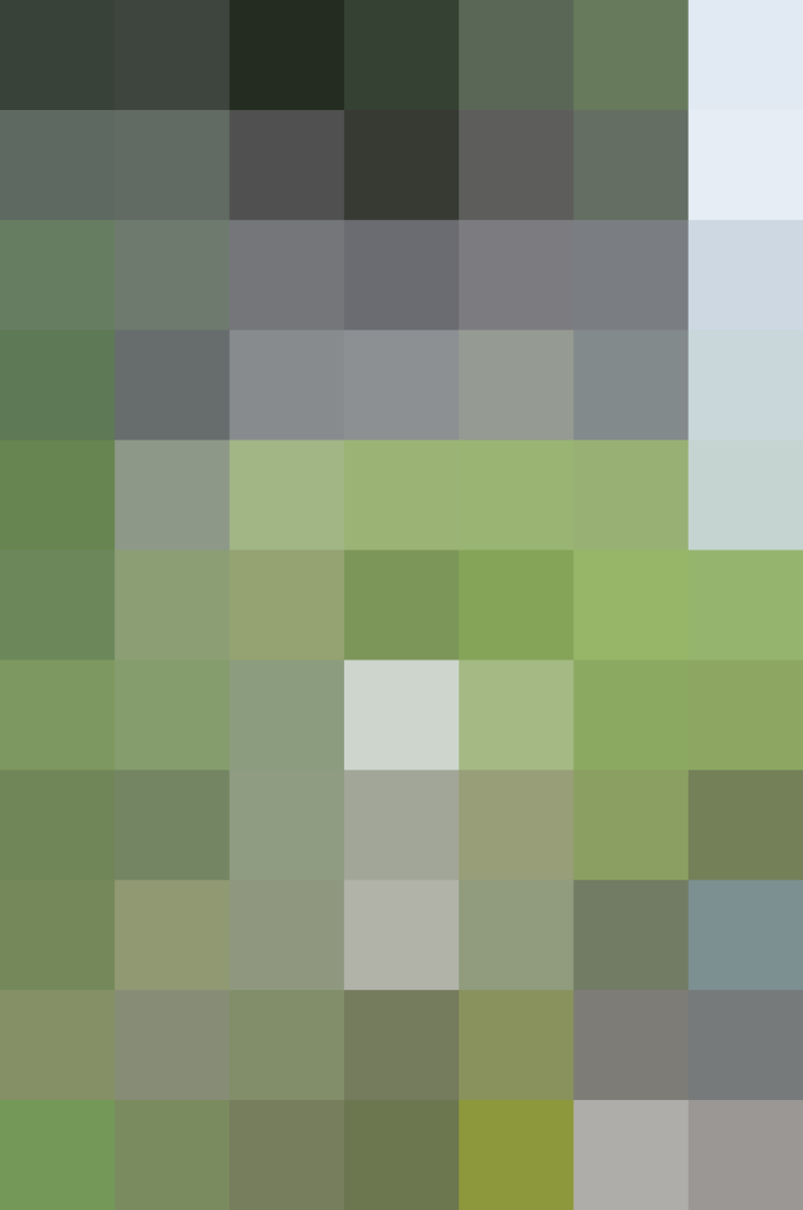 (placeholder)