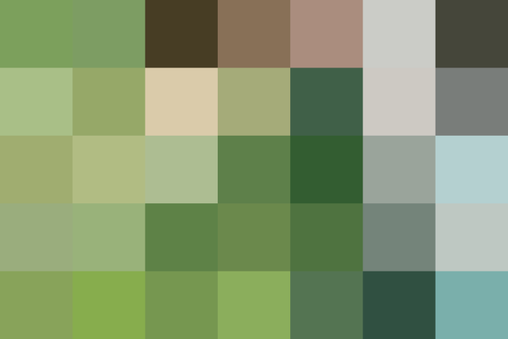 (placeholder)