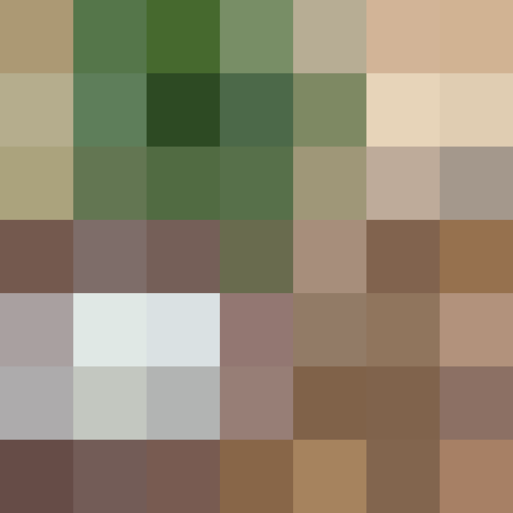 (placeholder)