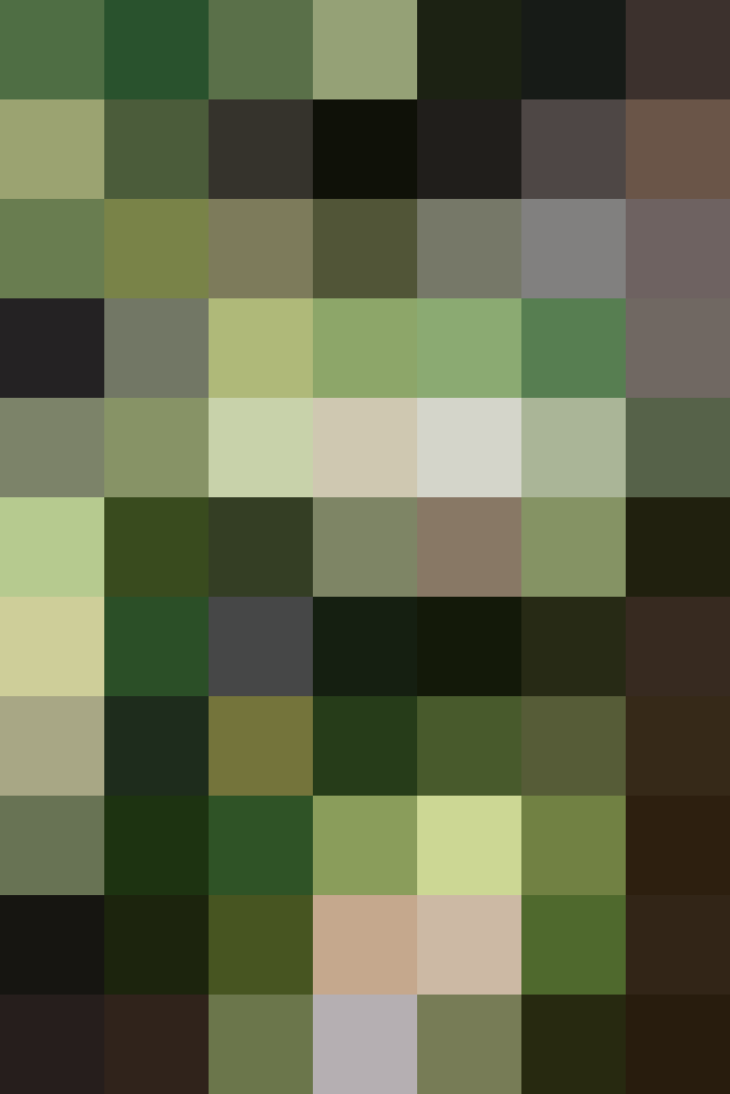 (placeholder)