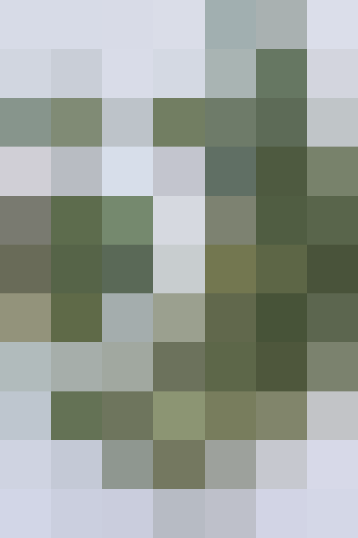 (placeholder)