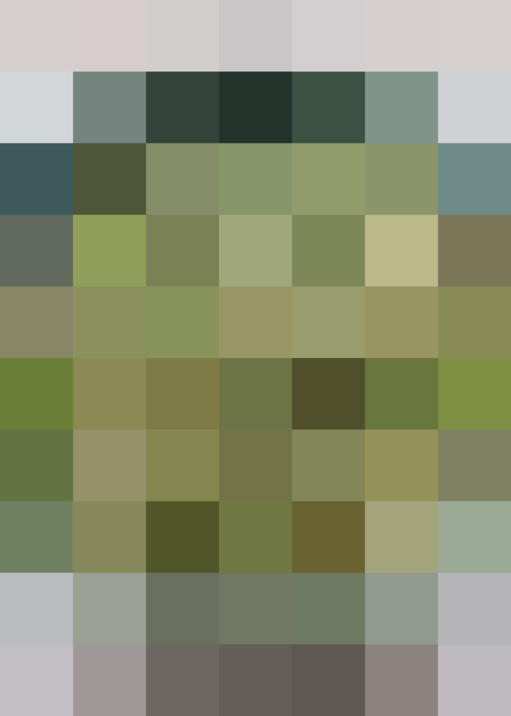 (placeholder)