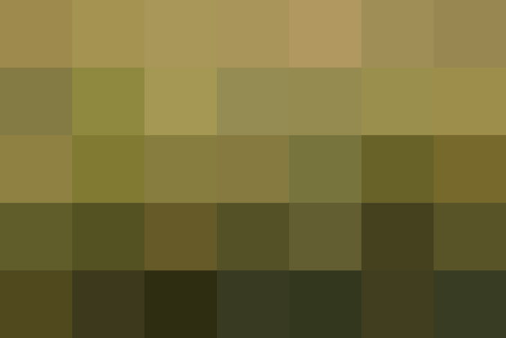 (placeholder)