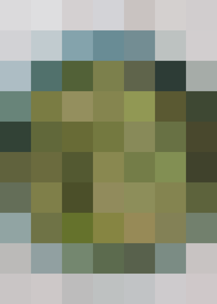 (placeholder)