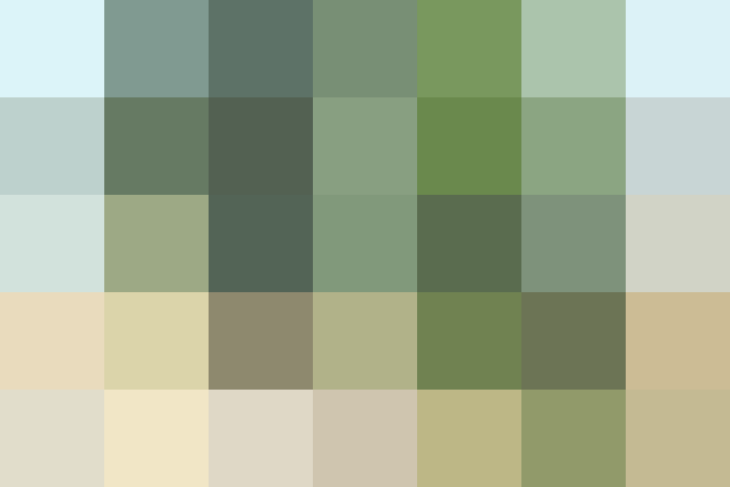 (placeholder)