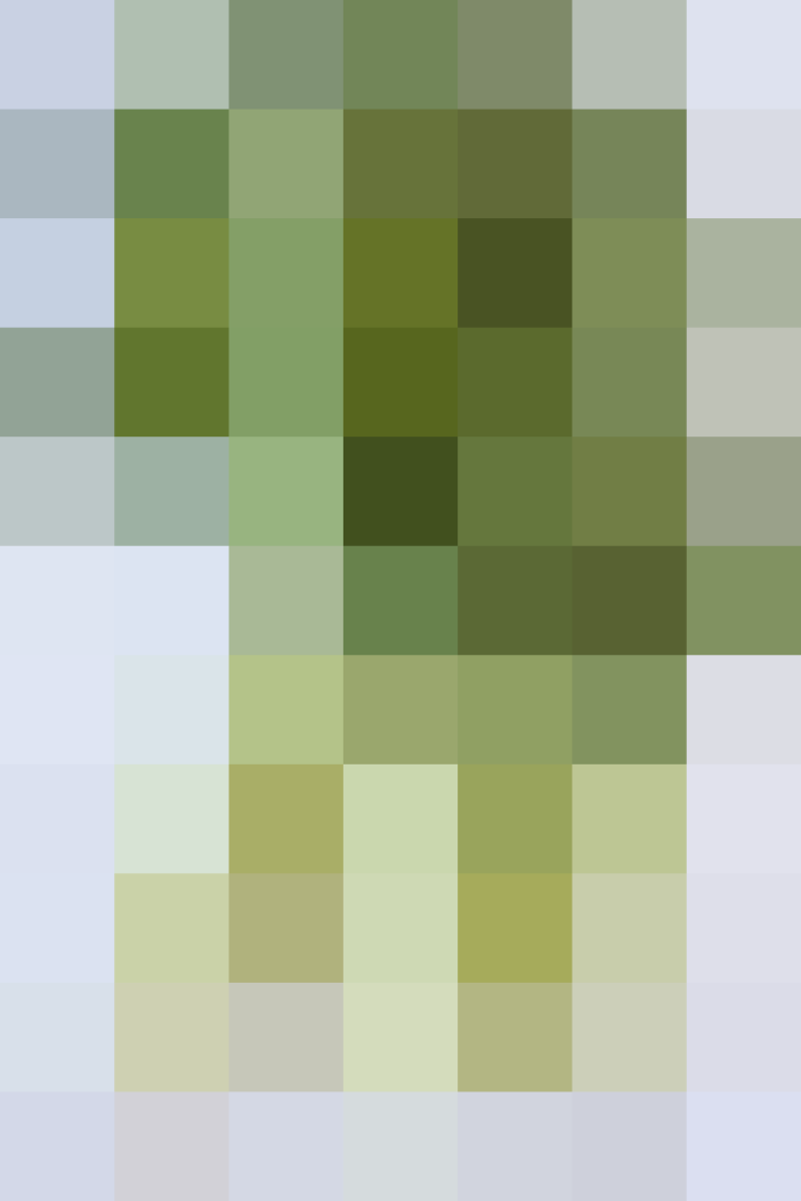 (placeholder)