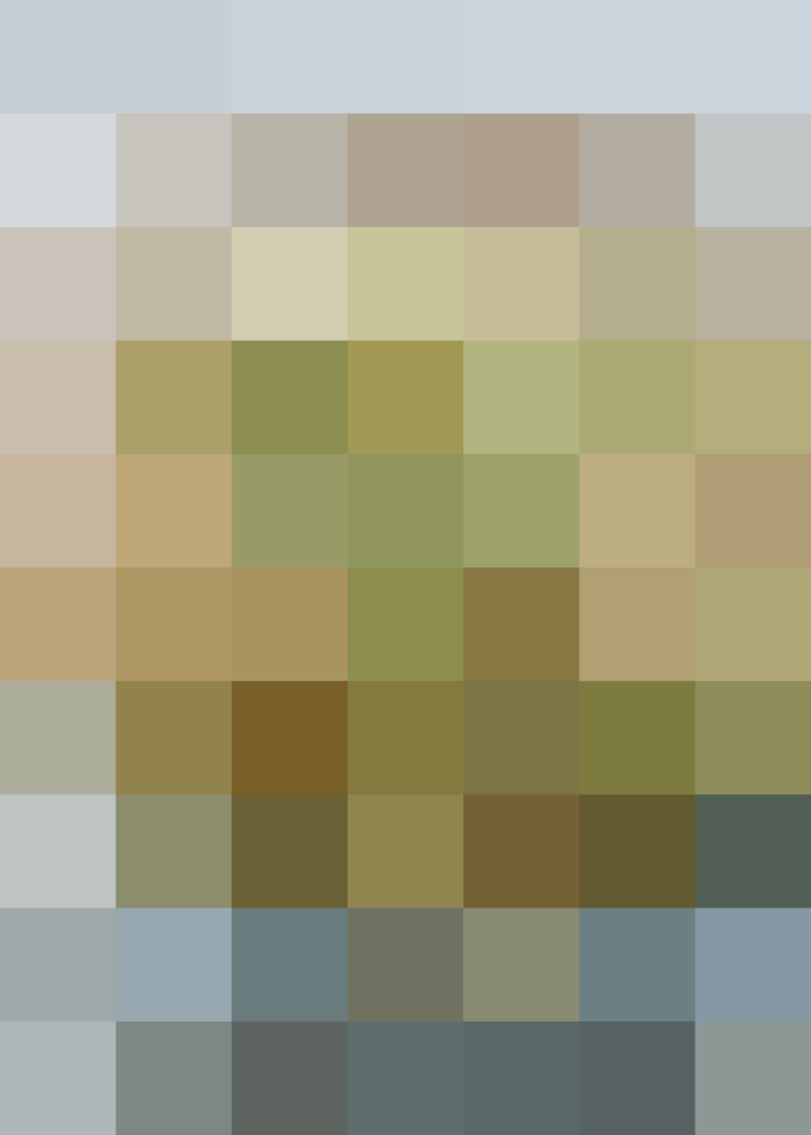 (placeholder)