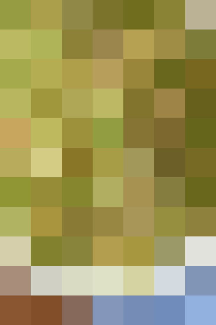 (placeholder)