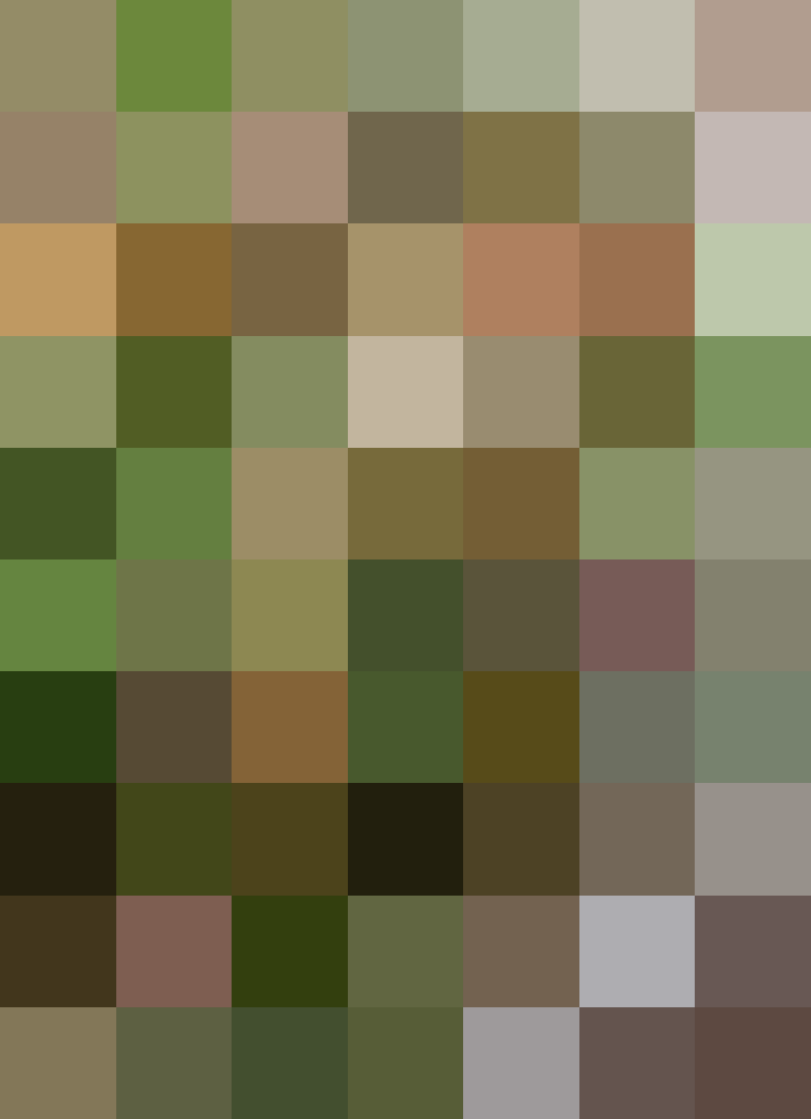 (placeholder)