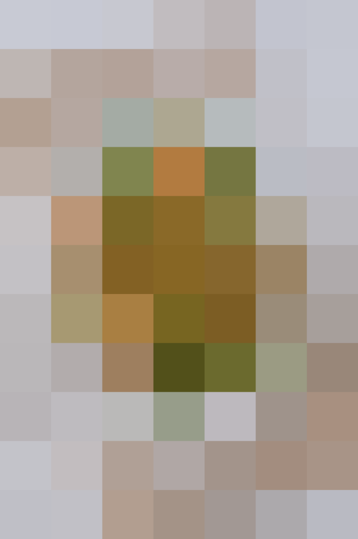 (placeholder)
