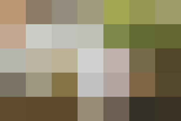 (placeholder)