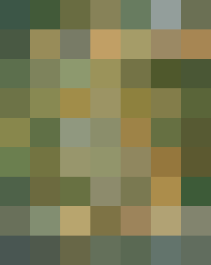 (placeholder)