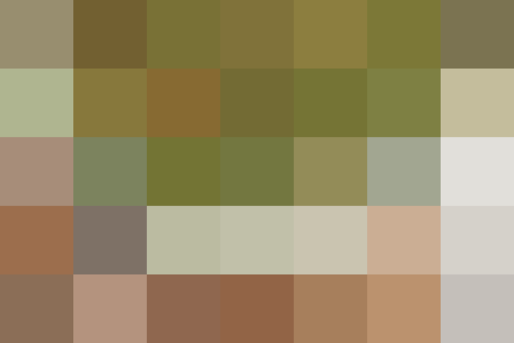 (placeholder)