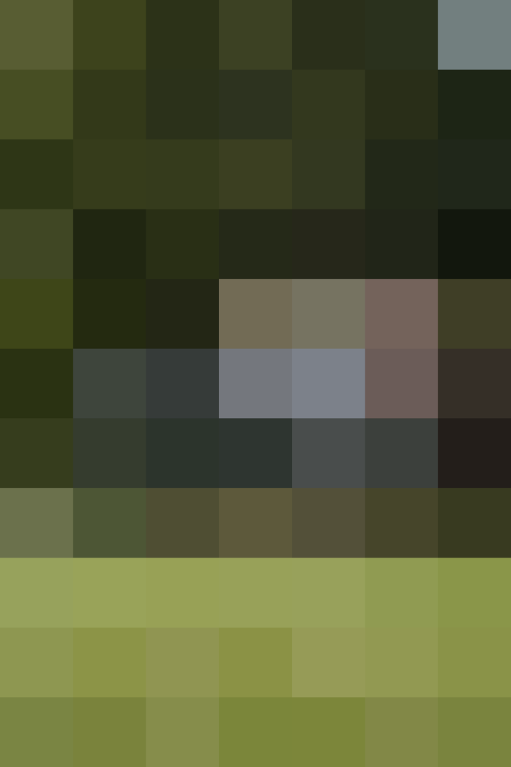 (placeholder)