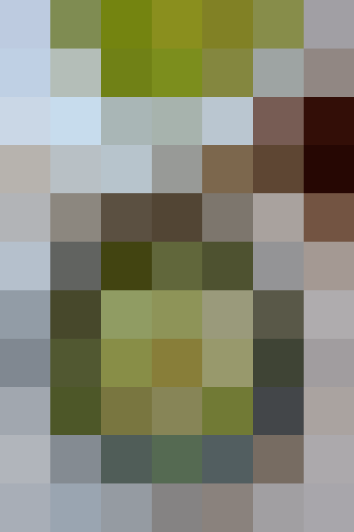 (placeholder)