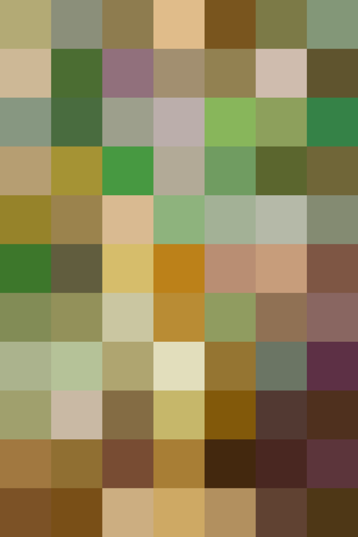 (placeholder)