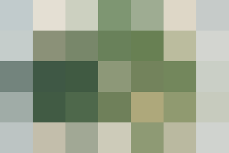 (placeholder)