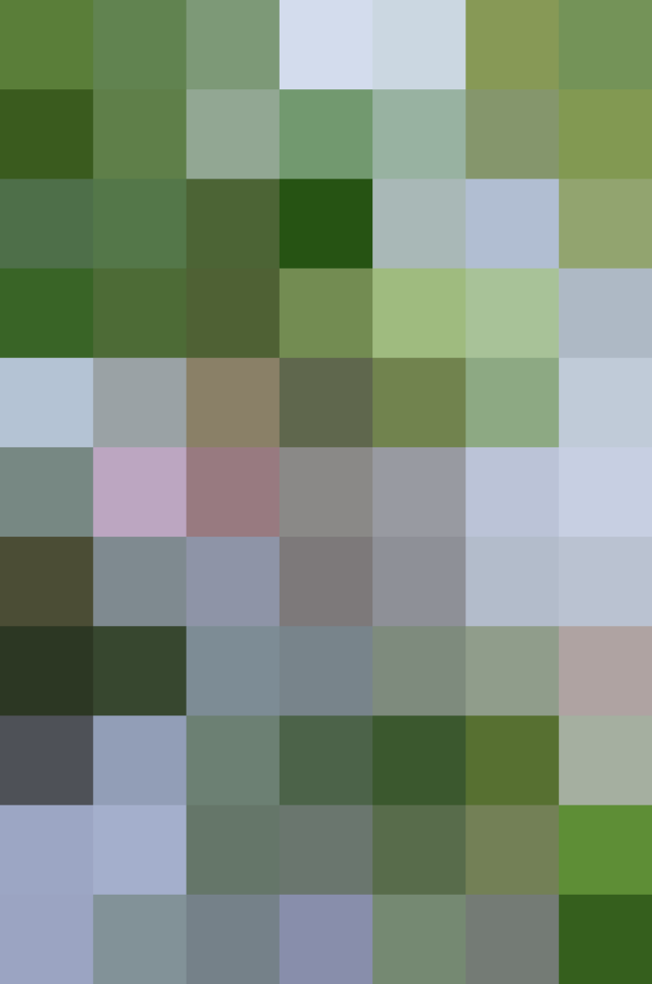 (placeholder)