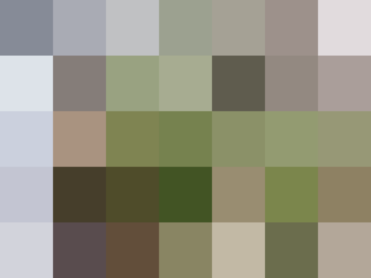 (placeholder)