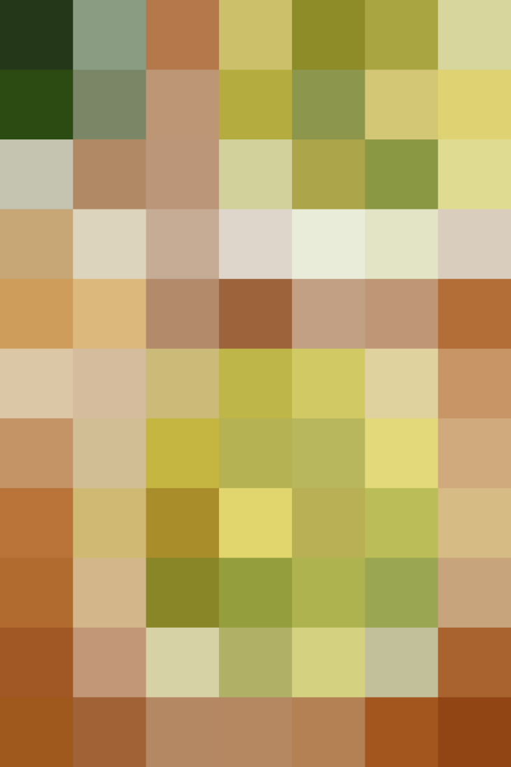(placeholder)