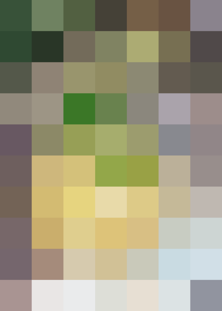(placeholder)