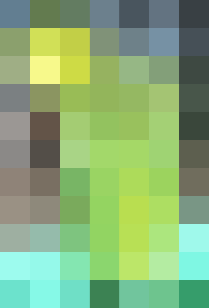 (placeholder)