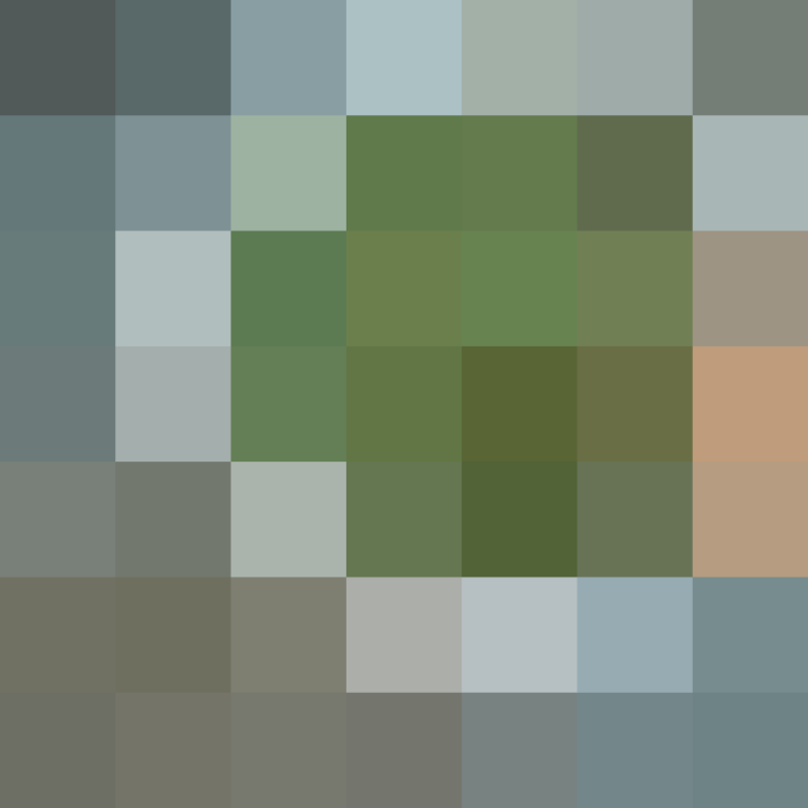 (placeholder)