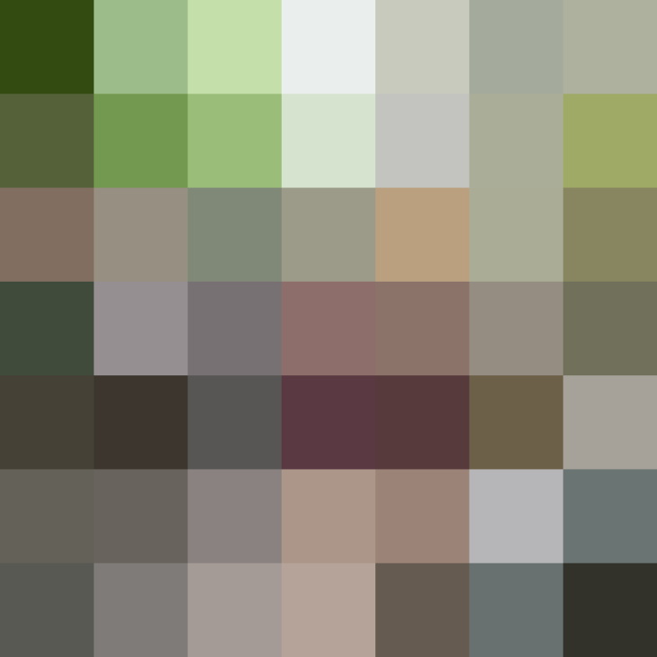 (placeholder)