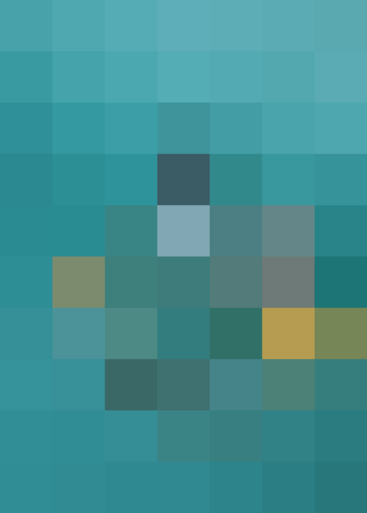 (placeholder)