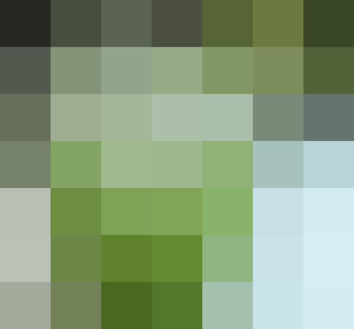 (placeholder)