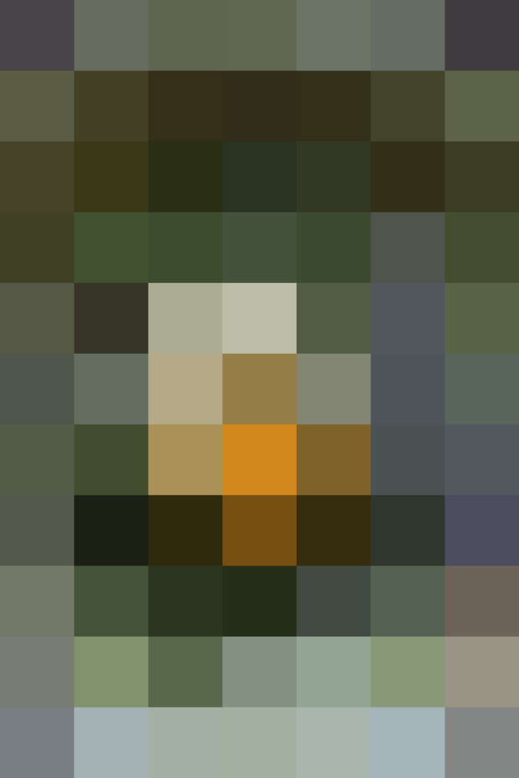 (placeholder)