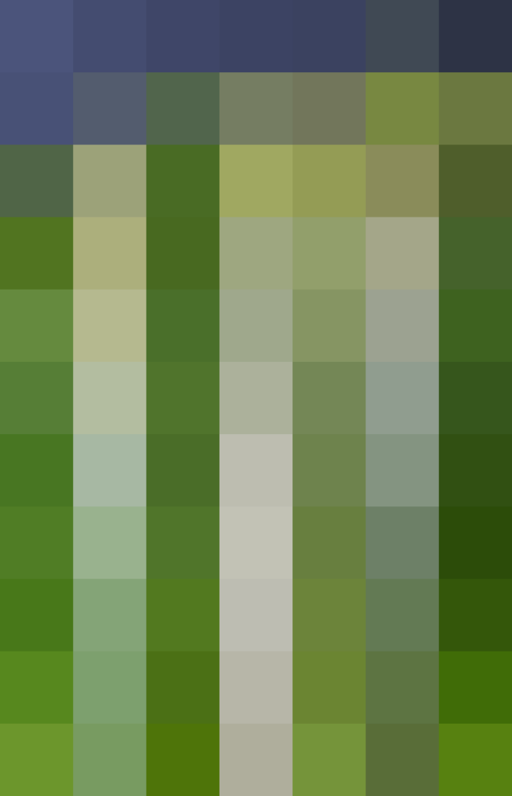 (placeholder)