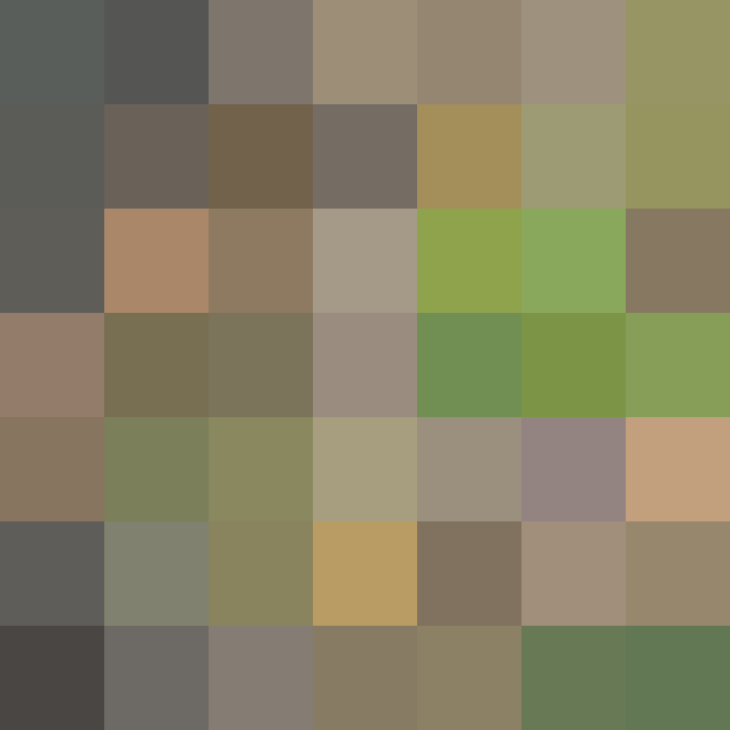 (placeholder)