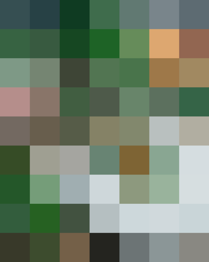 (placeholder)