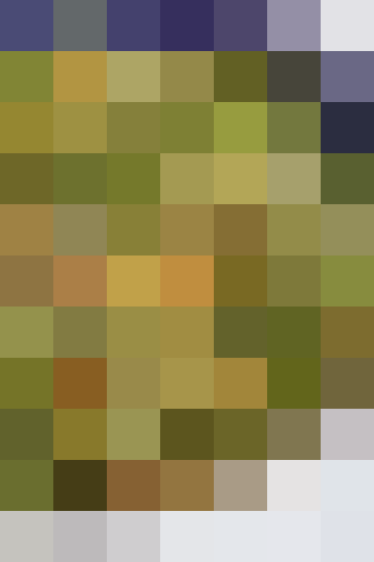 (placeholder)