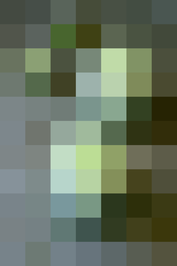 (placeholder)