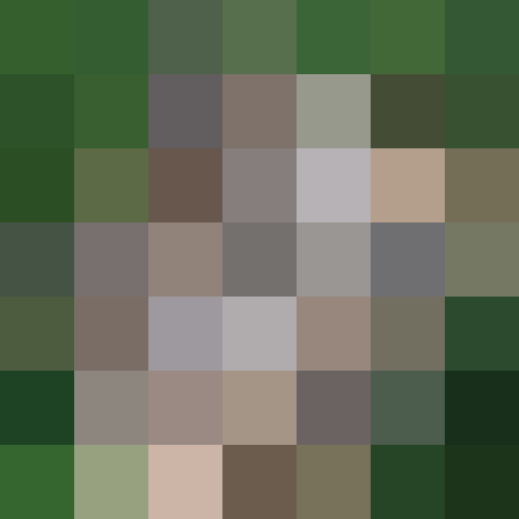 (placeholder)
