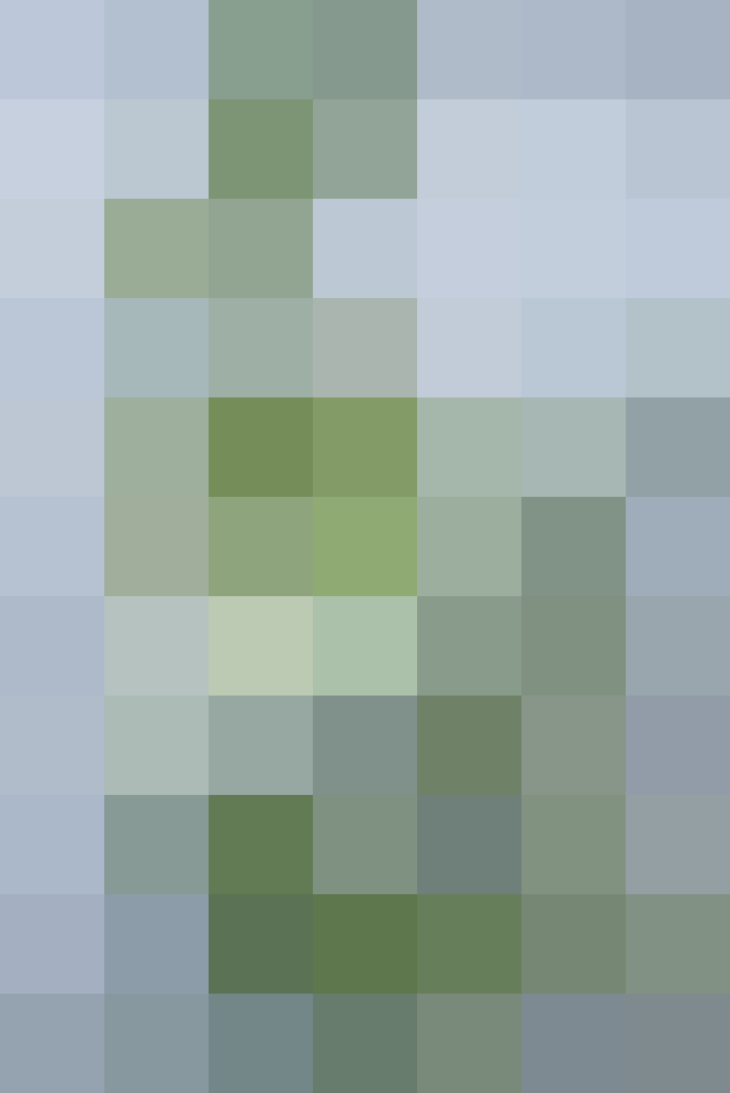 (placeholder)