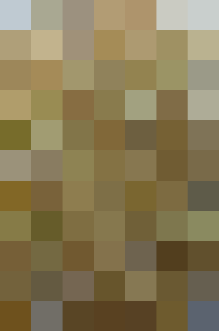 (placeholder)
