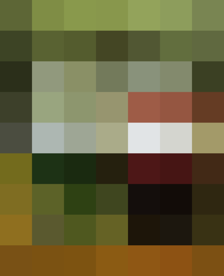 (placeholder)