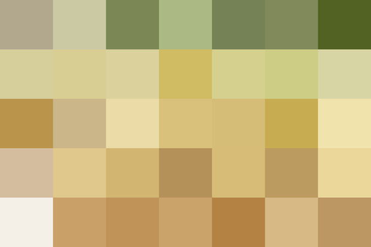 (placeholder)