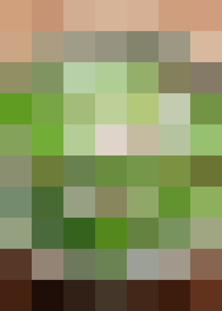 (placeholder)