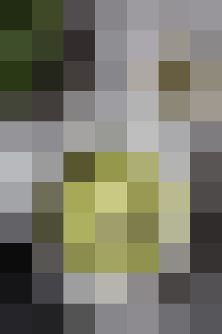 (placeholder)