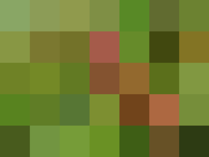 (placeholder)