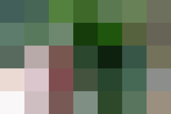 (placeholder)