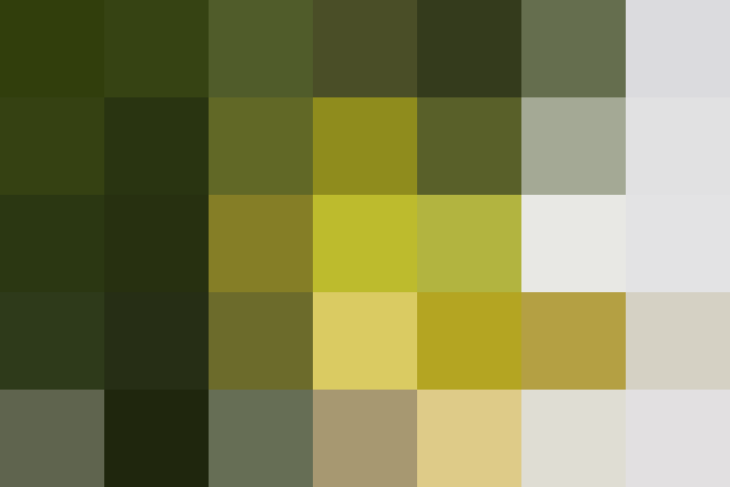 (placeholder)